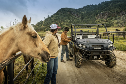 Kawasaki Mule Pro-fxr 1000 - Image 7