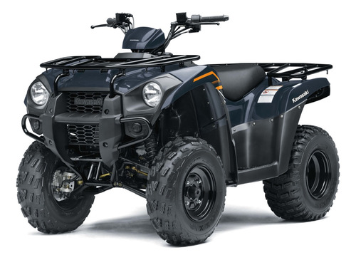 Kawasaki Brute Force 300 - Image 3