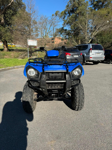 Kawasaki Brute Force 300 - Image 10