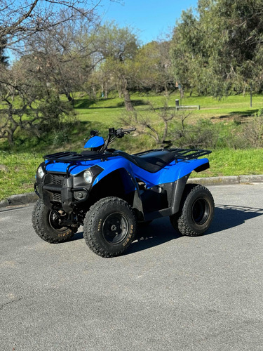 Kawasaki Brute Force 300 - Image 4