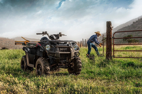 Kawasaki Brute Force 300 - Image 12