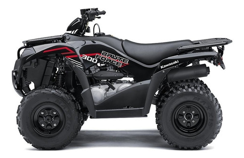 Kawasaki Brute Force 300 - Image 4