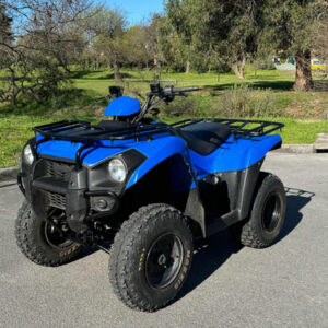 Kawasaki Brute Force 300