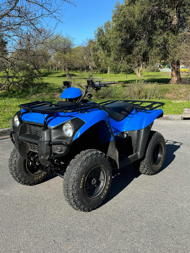 Kawasaki Brute Force 300