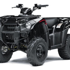 Kawasaki Brute Force 300