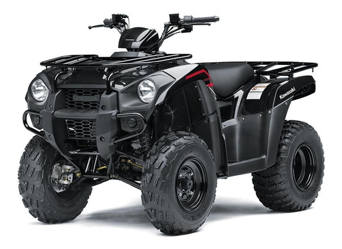 Kawasaki Brute Force 300