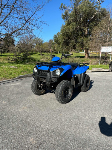 Kawasaki Brute Force 300 - Image 14