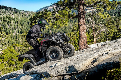 Kawasaki Brute Force 300 - Image 10
