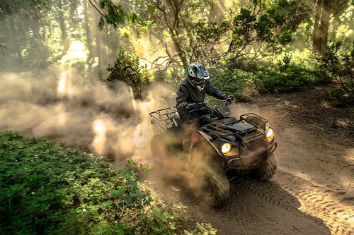 Kawasaki Brute Force 300 - Image 11