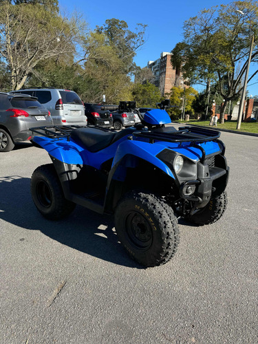 Kawasaki Brute Force 300 - Image 8