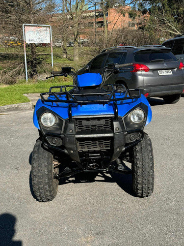 Kawasaki Brute Force 300 - Image 3