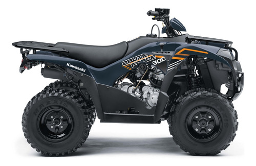 Kawasaki Brute Force 300 - Image 9