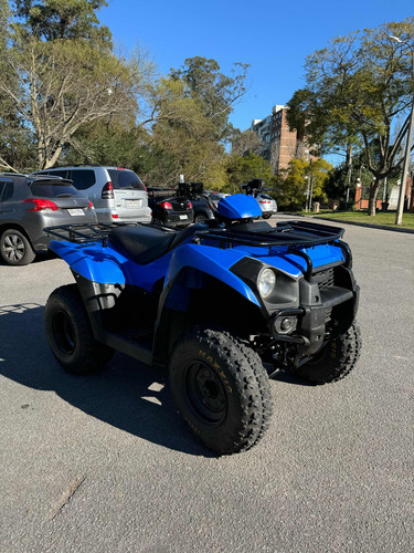 Kawasaki Brute Force 300 - Image 13