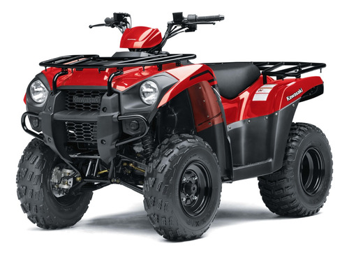 Kawasaki Brute Force 300 - Image 2