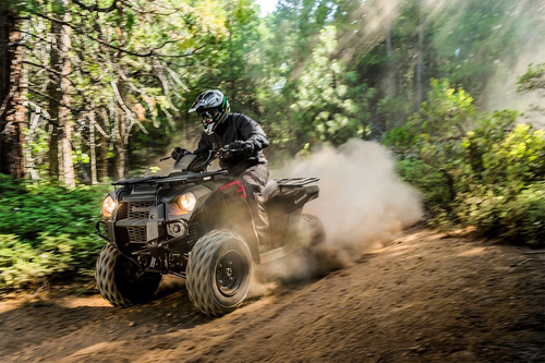 Kawasaki Brute Force 300 - Image 13