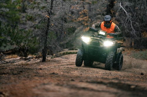 Kawasaki Brute Force 750 4x4i Eps - Image 19