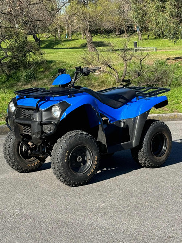 Kawasaki Brute Force 300 - Image 2