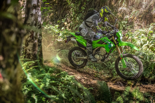 Moto Kawasaki Klx 300 - Image 15