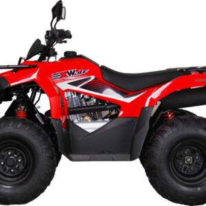 D_997184-MLU90075223836_082025-O-40.jpg Loncin X-wolf 230